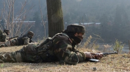 Pakistan continuously violating the ceasefire of Indian BSF for the past three days General News List