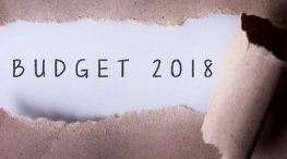  Budget 2018 some important expenditures of FY18 and Fy19