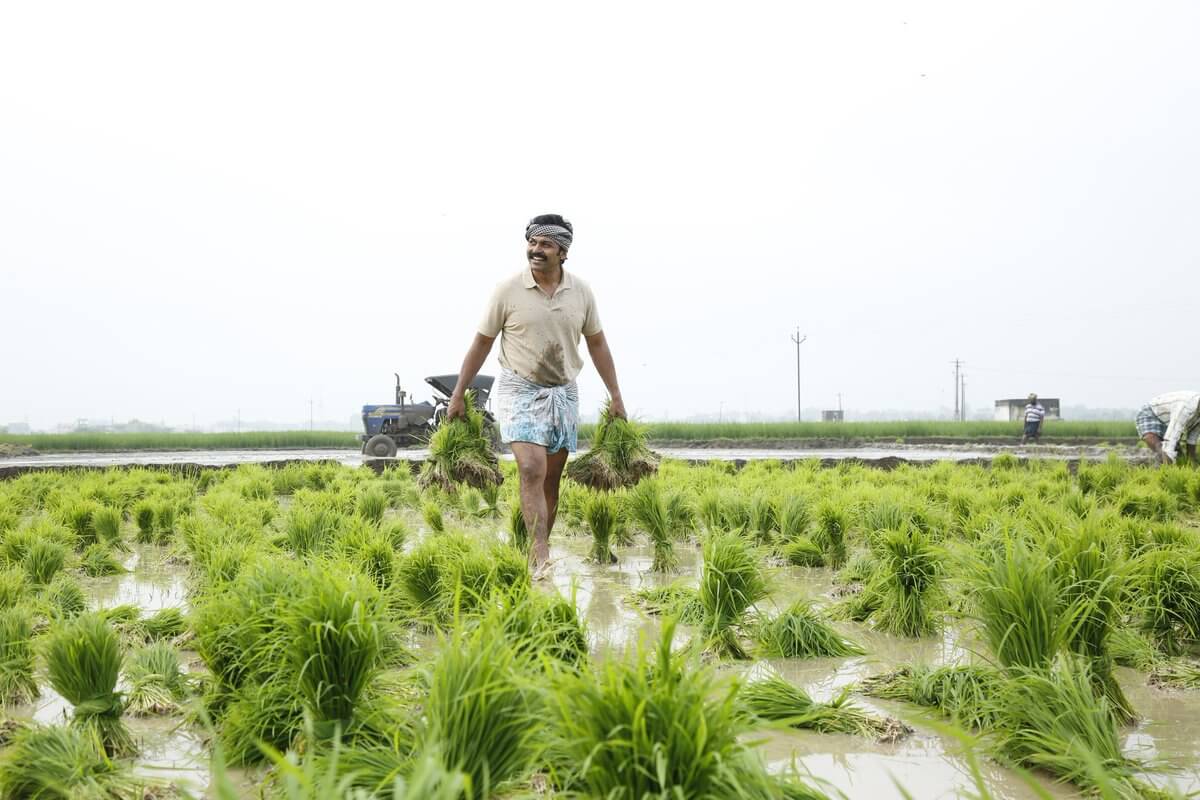 Kadaikutty Singam Movie Still1,Image Credit-2D Entertainment