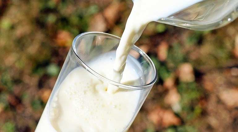 Aflatoxin M1 Detected in Tamil Nadu Milk